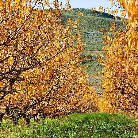 Scheepers Rust Guest Farmhouse Montagu Exterior foto